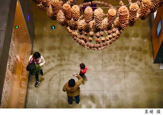 多元和包容是博物馆公共文化服务发展趋势|新冠肺炎_新浪新闻