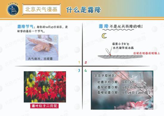 北京霜降气温迎新低  双休日晴朗微风宜出游