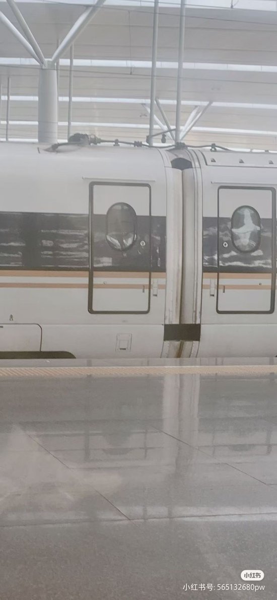 乘客称下车易“崴脚”，杭州东站站台咋“变矮”？车站回应：站台沉降，已启动修复