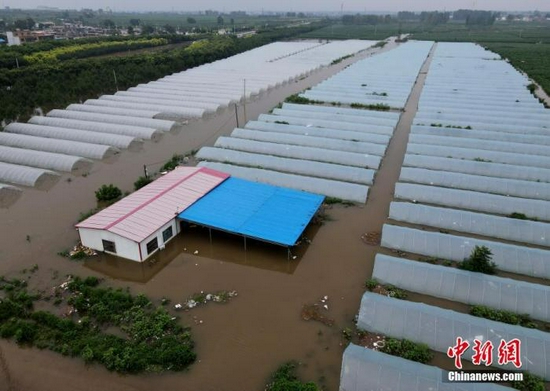 资料图：7月22日，安阳市西于曹村附近被淹的大棚。 中新社记者 邹浩 摄