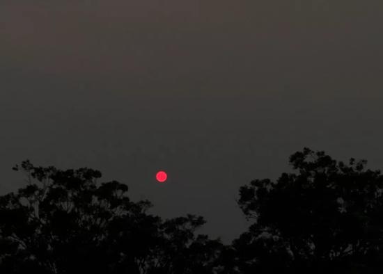 受山火灾害影响,悉尼的太阳变成“红日”。受访者供图