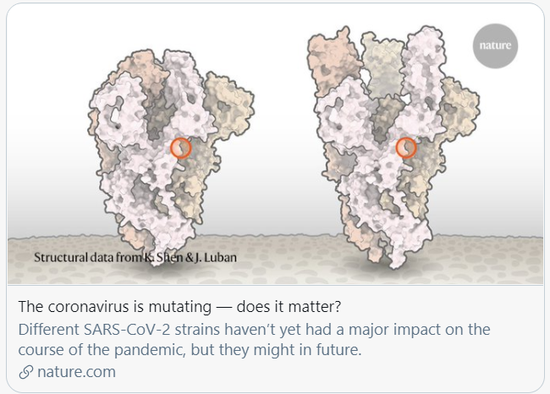 新冠病毒正在变异——这重要吗？/《自然》杂志文章截图