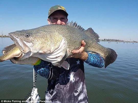 作假据《每日邮报》报道,上周末,澳大利亚一位渔民在参加钓鱼比赛时