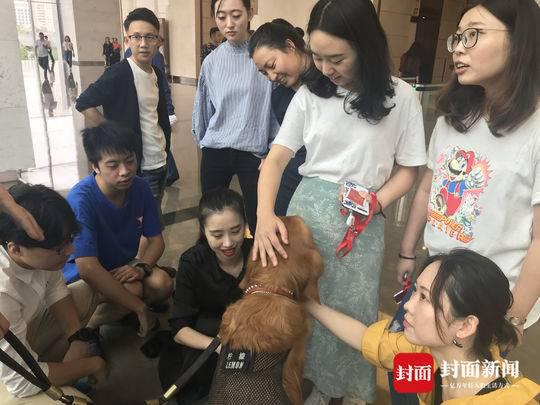 成都防暴犬成网红:每天上百粉丝摸狗打卡(图)