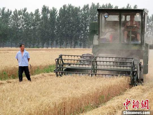 原料图。李欣 摄