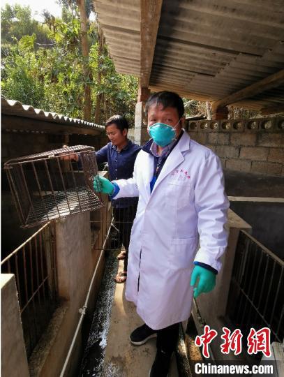 图为课题组正在工作中。 昆明理工大学供图