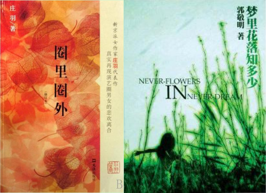 小说《圈里圈外》《梦里花落知多少》（图片来自网络）