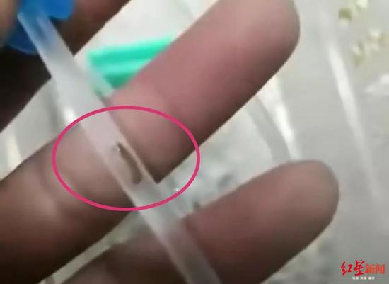 3岁幼儿输液5分钟家长发现输液管中有虫 医院致