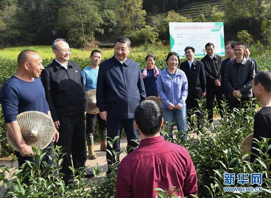  3月22日至25日，中共中央总书记、国家主席、中央军委主席习近平在福建考察。这是22日下午，习近平在南平武夷山市星村镇燕子窠生态茶园，同科技特派员、茶农亲切交流，了解当地茶产业发展情况。新华社记者 燕雁 摄