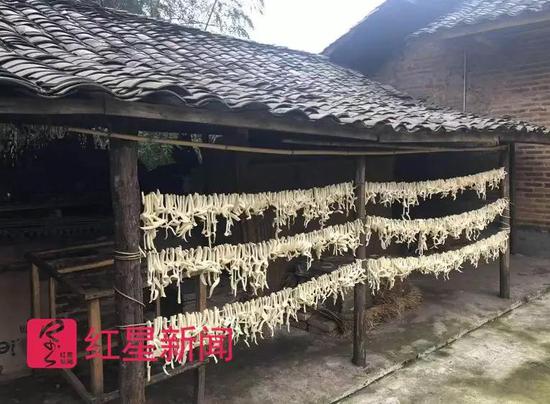 万家庭院。图片来源:红星音信