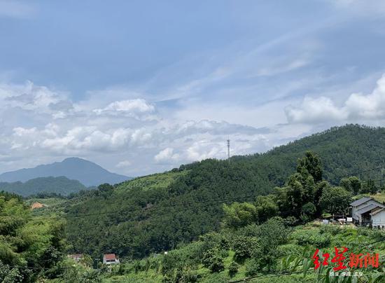  ▲从章子欣家向外远眺（资料图）