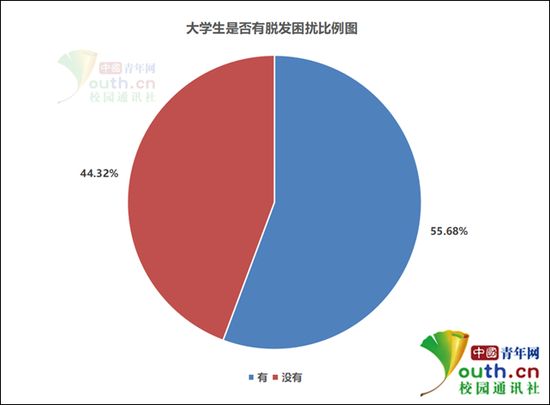 大学生是否有脱发困扰比例。中国青年网记者 李华锡 制图