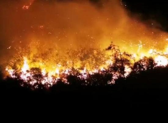突发!广东汕头发生森林山火,正全力扑救