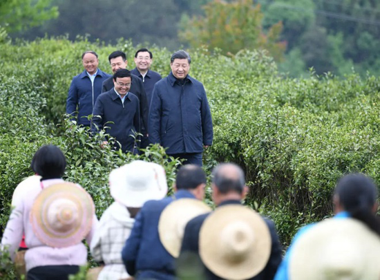 2020年4月21日，习近平来到陕西省安康市平利县老县镇，在茶园考察脱贫攻坚情况。 图：新华网