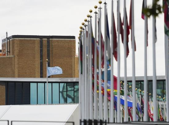 这是2020年9月14日在联合国总部拍摄的联合国旗和会员国国旗。新华社记者 王迎 摄