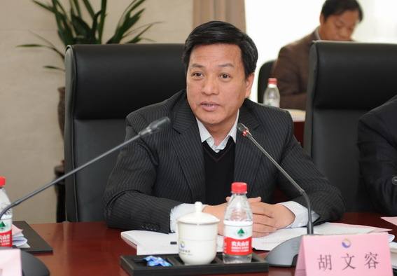 商务部西亚非洲司司长江伟挂职担任武汉市副市长