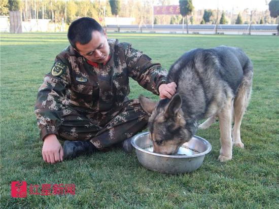 汶川地震搜救犬“银虎”离世 训导员:一夜未眠 ▲训导员刘世伟和银虎。云南消防总队供图