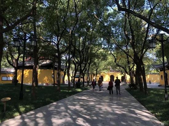 点击查看大图