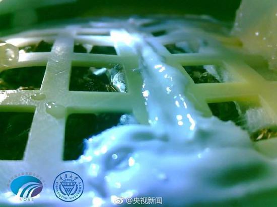 央视新闻1月15日报道，“嫦娥四号”携带的棉花种子已长出发芽
