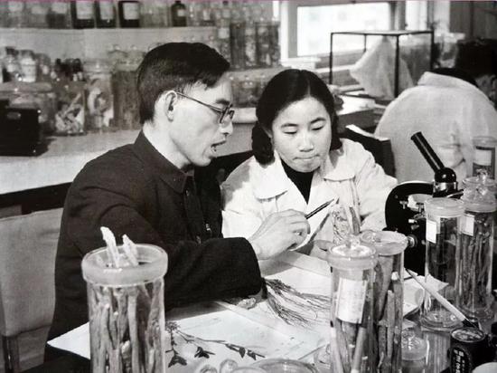 △20世纪50年代，在中医研究院中药研究所任实习研究员的屠呦呦与老师楼之岑（左）一起研究中药。