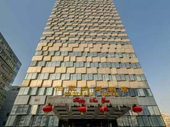 丁羽心 丁书苗 伯豪瑞廷酒店