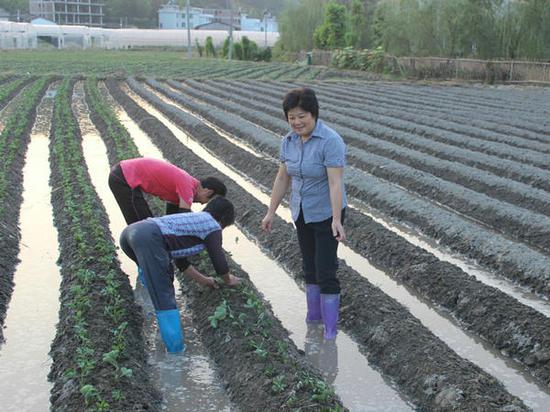 沈腾香下农田（右）全国妇联宣传部供图