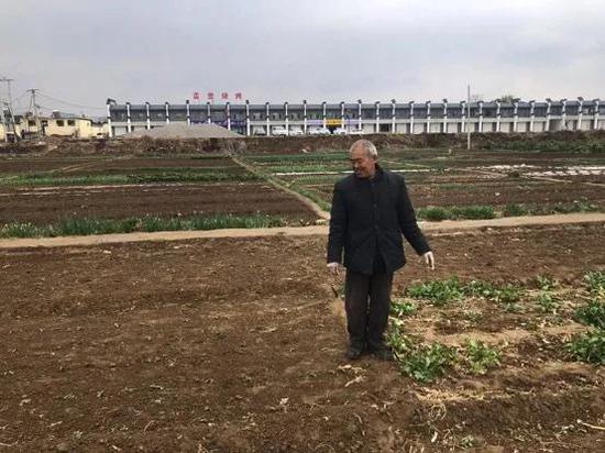 清明雨后，村民老肖来看自己种的油葵。摄影/李行健