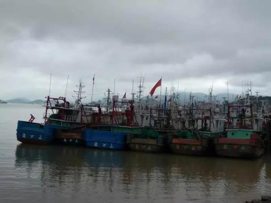石浦镇东门渔村码头海面上渔船林立