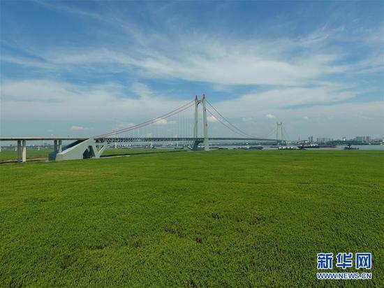 这是湖南省岳阳市洞庭湖畔的华龙码头。过去,这里是一个砂石码头,2017年码头拆除后开始复绿(2018年7月13日无人机拍摄)。新华社记者 薛宇舸 摄