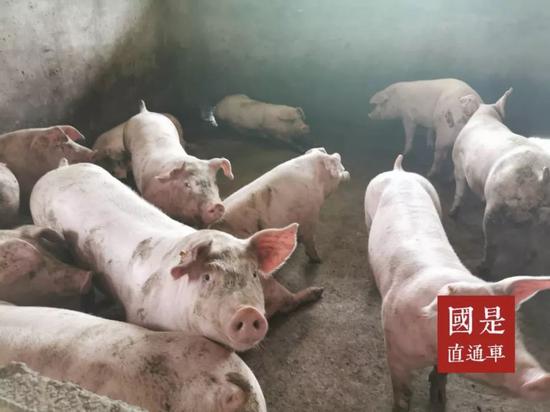 国是直通车 张文晖 摄