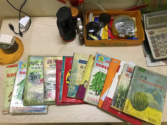 现代中国里的魔幻闹剧 农民百亩萝卜遭哄抢原委