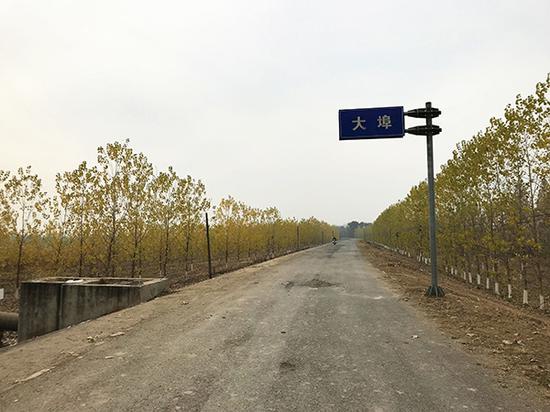 现代中国里的魔幻闹剧 农民百亩萝卜遭哄抢原委