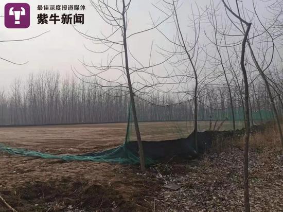 50多亩面积的赌博场地四周则被渔网拦了起来