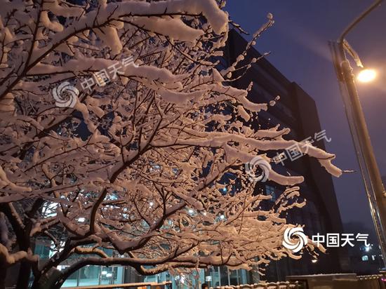 2020年上半年北京朝_2020上半年北京成交金额最高的区域:朝阳区
