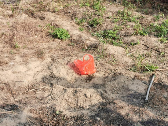  红色塑料袋内为可疑烈性炸药 （图片来源：香港警察脸书）