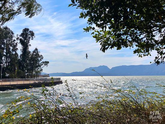 △星海半岛生态湿地景观（总台央视记者许永松拍摄）