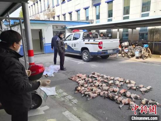 上海警方破获一起非法狩猎野生动物案件。上海警方供图