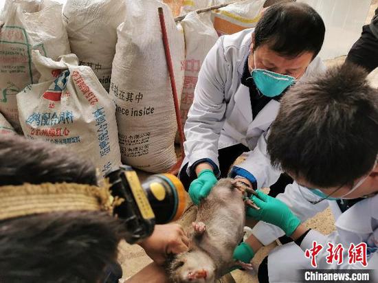  图为课题组正在工作中。 昆明理工大学供图