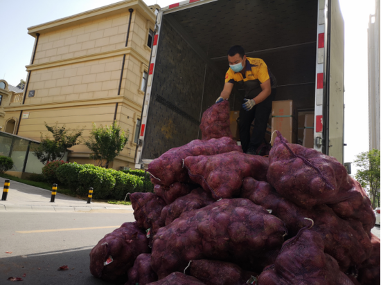 520前夕 她送给前男友一吨洋葱：该你哭了