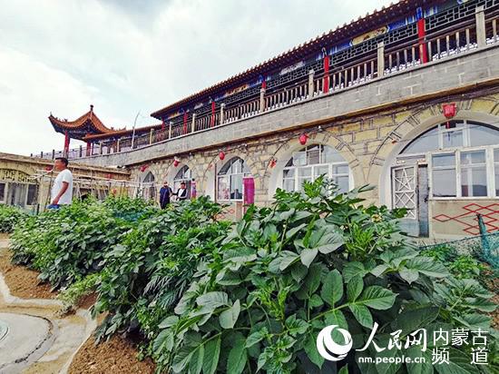 清水河县老牛湾村农家乐小院。王慧 摄