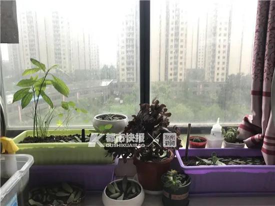 来大姐平日喜欢种花