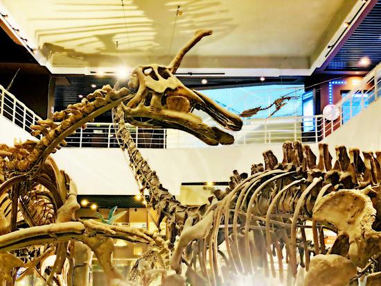 北京日报|北京动物园边，藏着亚洲最大“侏罗纪公园”