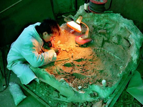 北京日报|北京动物园边，藏着亚洲最大“侏罗纪公园”