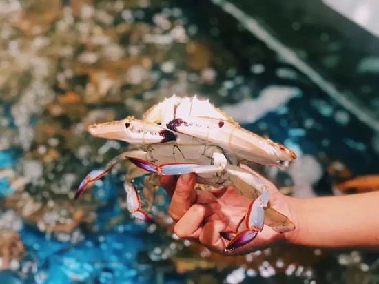 本文图片均来自微信公众号“上海市场监管”