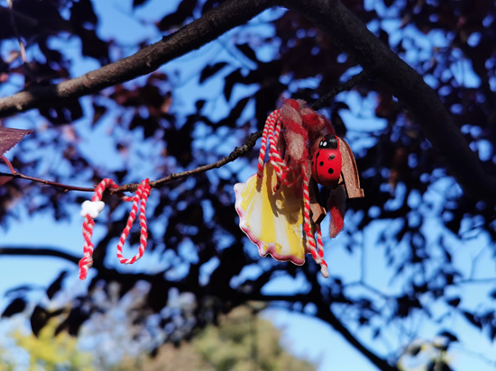 树枝上系着保加利亚人喜欢的三月结挂饰，祈愿平安健康。