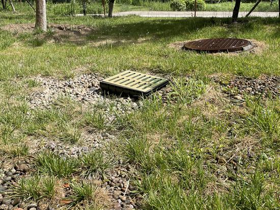  设在雨水花园较高地形处的溢流井