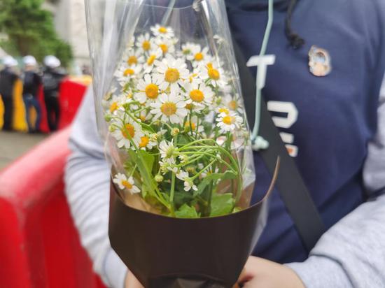 袁隆平离开后的第7天 生前选好的稻种已发芽 刚长出第一片嫩叶 手机新浪网 袁隆平离开后的第7天 生前选好的稻种已发芽 刚长出第一片嫩叶 手机新浪网