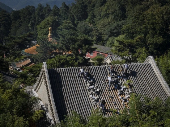 2017年8月6日，潭柘寺，工人在大殿顶上维修。