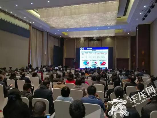 重庆名校:9所国内名校“落户”重庆 多地提出“名校”引进