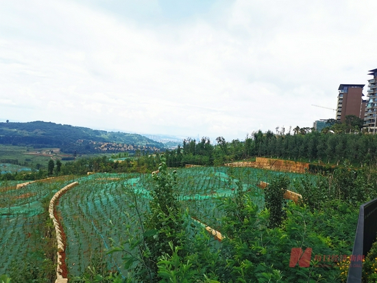 199亿楼王只剩建筑垃圾贴线开发项目人心惶惶昆明滇池拆违风暴持续